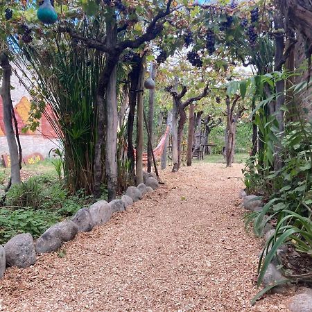 Casa Prana Estudio De Yoga Hostel Cafayate Kültér fotó