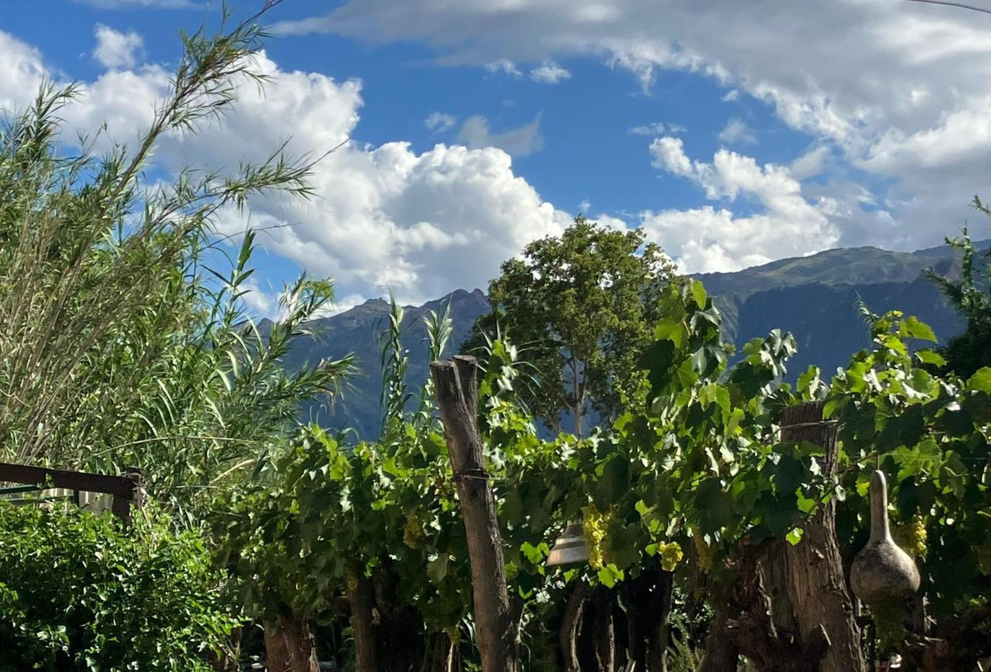 Casa Prana Estudio De Yoga Cafayate Kültér fotó