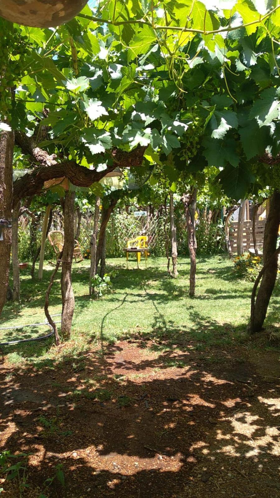 Casa Prana Estudio De Yoga Cafayate Kültér fotó