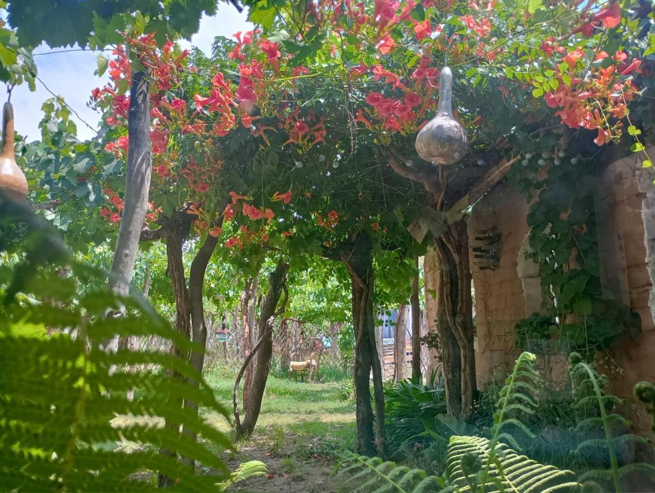 Casa Prana Estudio De Yoga Cafayate Kültér fotó